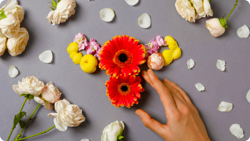 子宮をガーベラなどの花で見立てて並べた写真