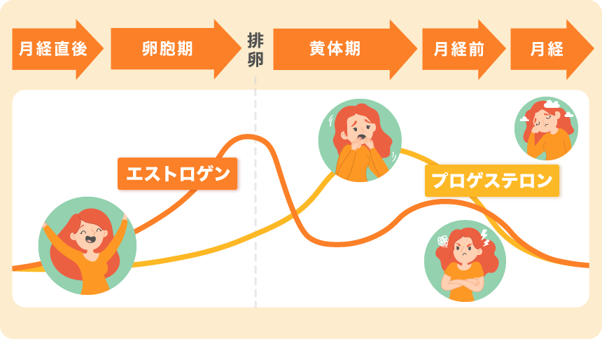 女性のイラスト付きホルモンバランスの表