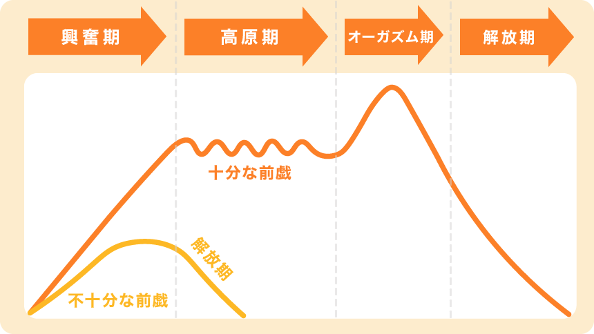 オーガズムの仕組みの図